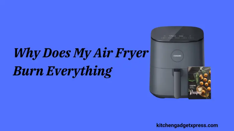 Why Does My Air Fryer Burn Everything? in 2024