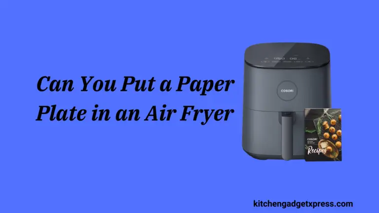 Can You Put a Paper Plate in an Air Fryer in 2024